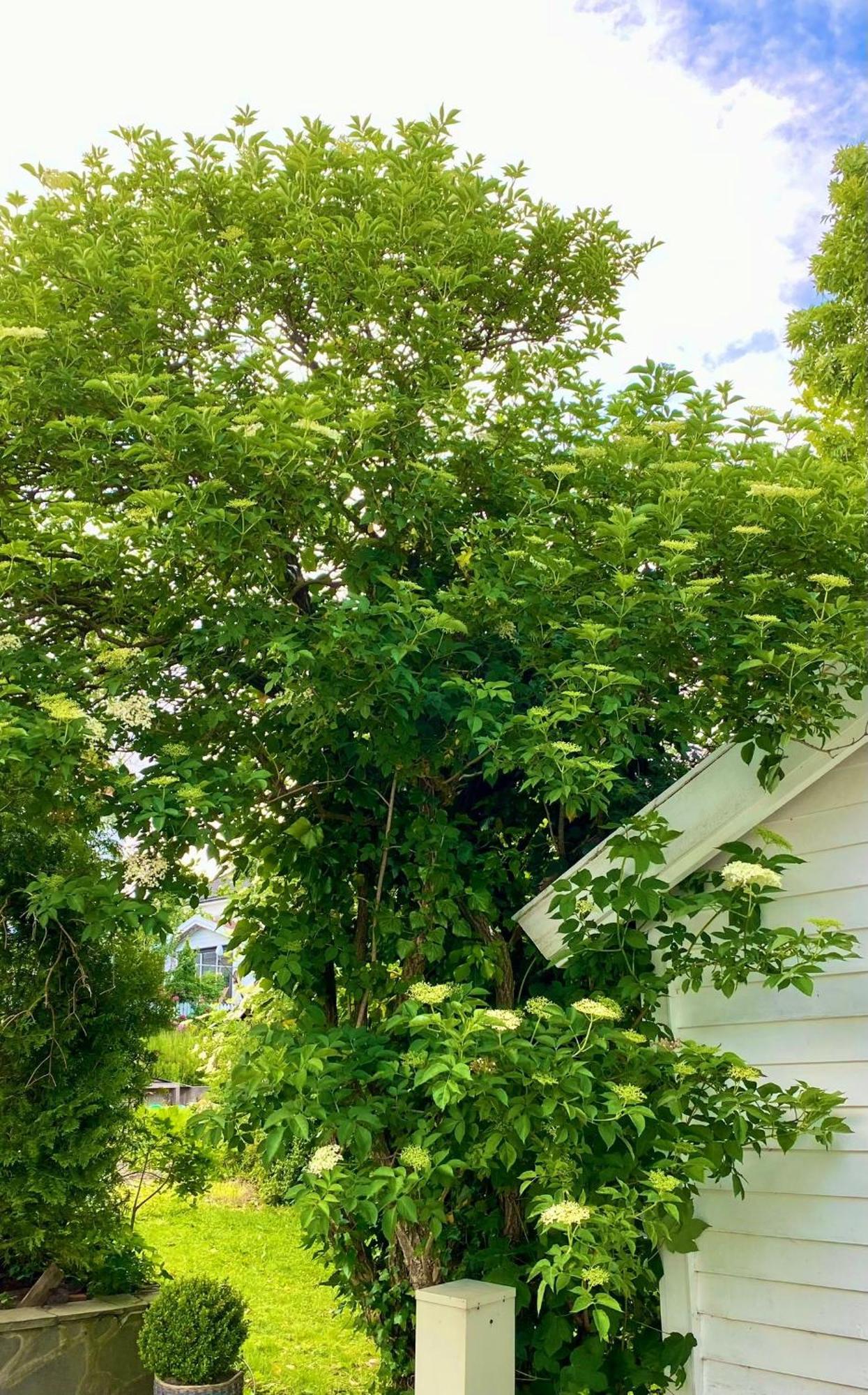Down Town Apartment With Outside Area In Villa Kristiansand Exterior foto